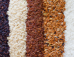 Les différentes variétés de riz