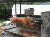 petit cochon sur la remorque