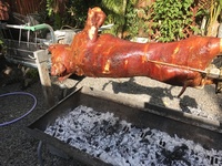 cochon à la broche